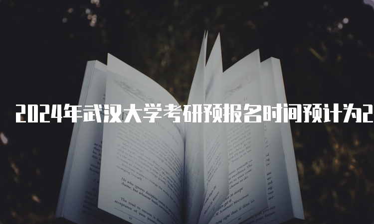 2024年武汉大学考研预报名时间预计为2023年10月5日-10月25日