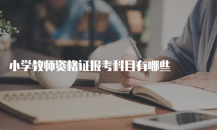 小学教师资格证报考科目有哪些