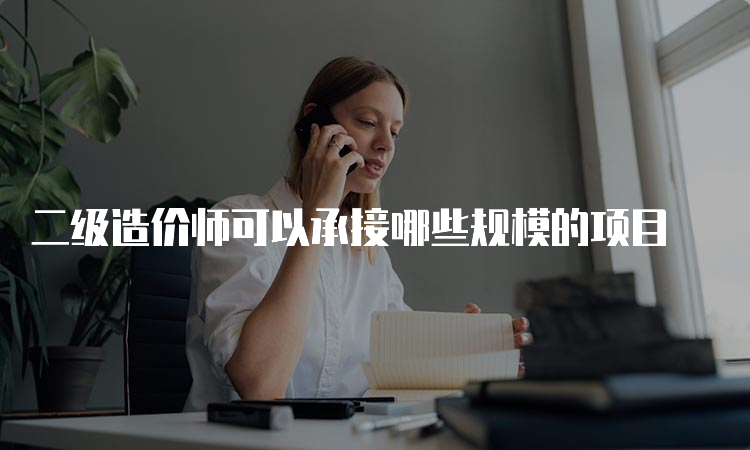 二级造价师可以承接哪些规模的项目