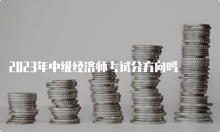 2023年中级经济师考试分方向吗