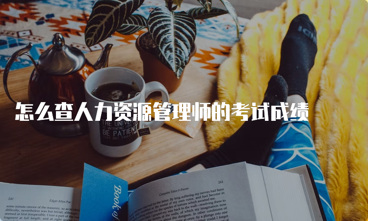 怎么查人力资源管理师的考试成绩