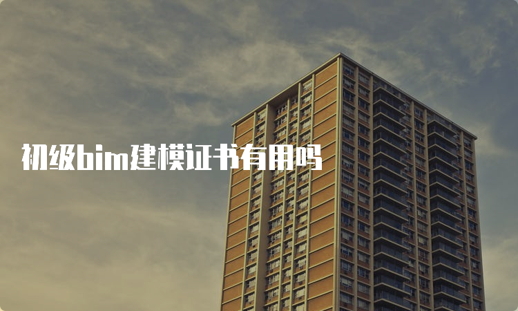 初级bim建模证书有用吗