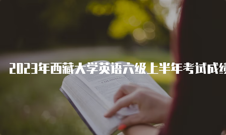 2023年西藏大学英语六级上半年考试成绩怎么查询