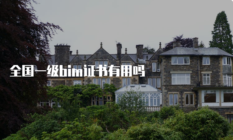 全国一级bim证书有用吗