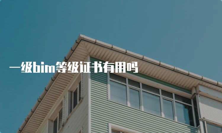 一级bim等级证书有用吗