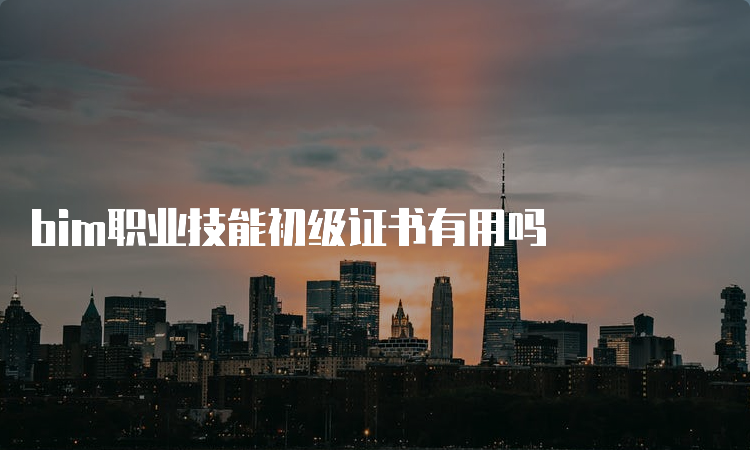 bim职业技能初级证书有用吗