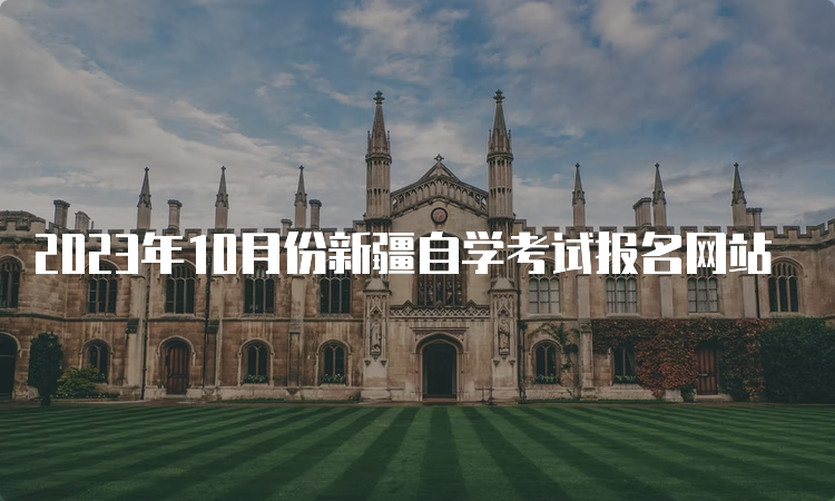 2023年10月份新疆自学考试报名网站