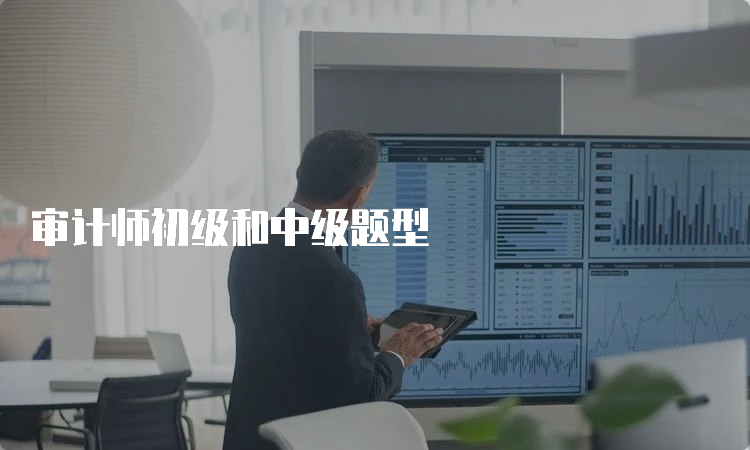 审计师初级和中级题型