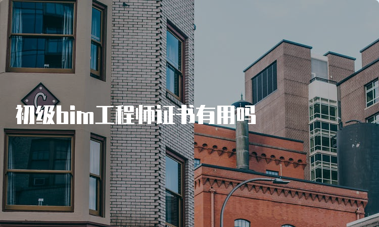 初级bim工程师证书有用吗