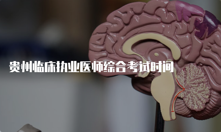 贵州临床执业医师综合考试时间