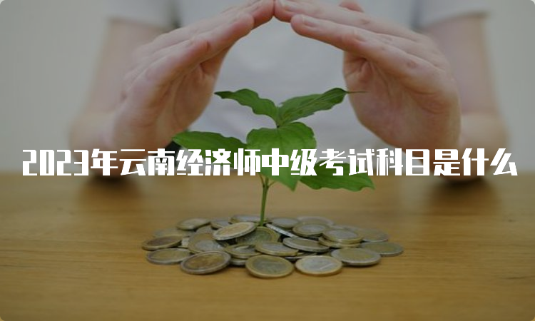 2023年云南经济师中级考试科目是什么