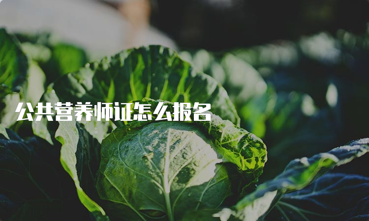 公共营养师证怎么报名