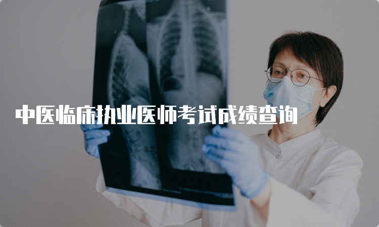 中医临床执业医师考试成绩查询