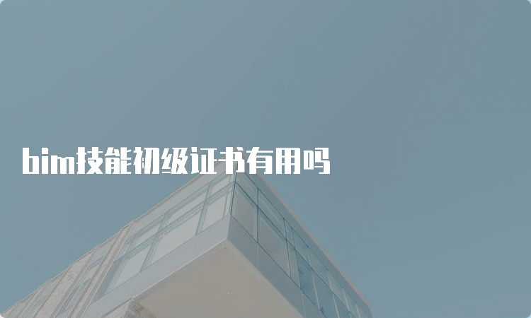 bim技能初级证书有用吗