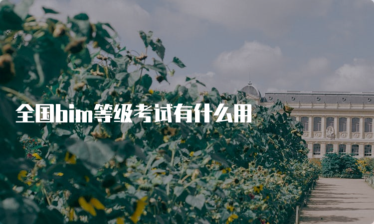 全国bim等级考试有什么用