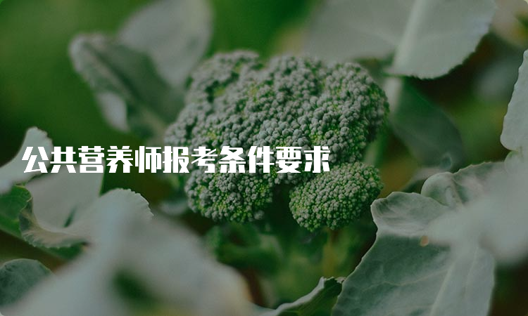 公共营养师报考条件要求