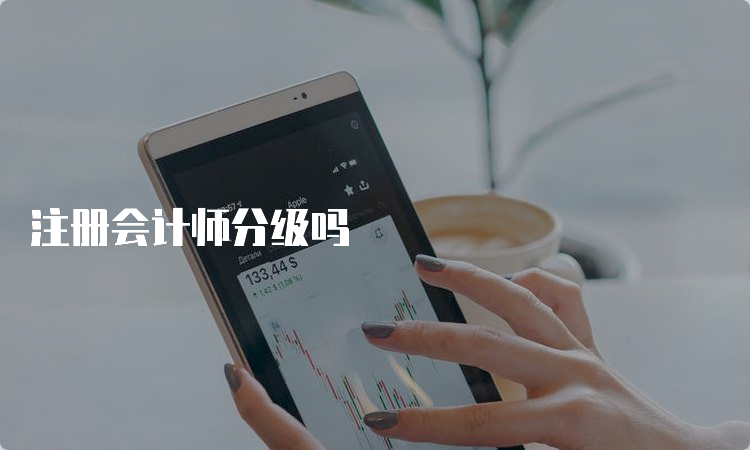 注册会计师分级吗