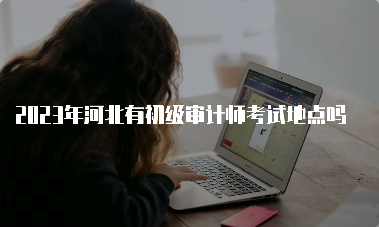 2023年河北有初级审计师考试地点吗