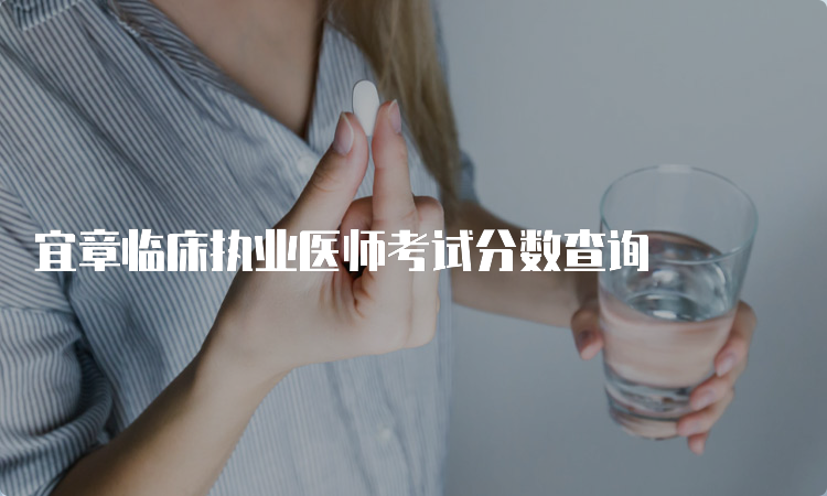 宜章临床执业医师考试分数查询