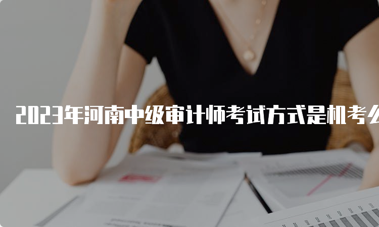 2023年河南中级审计师考试方式是机考么？