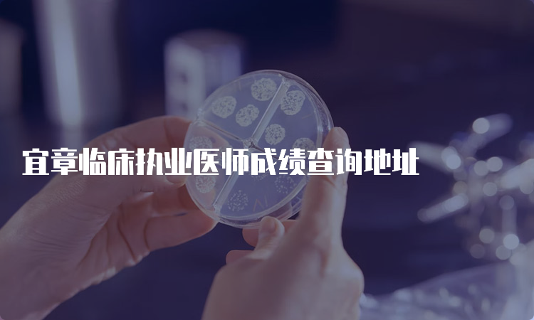 宜章临床执业医师成绩查询地址