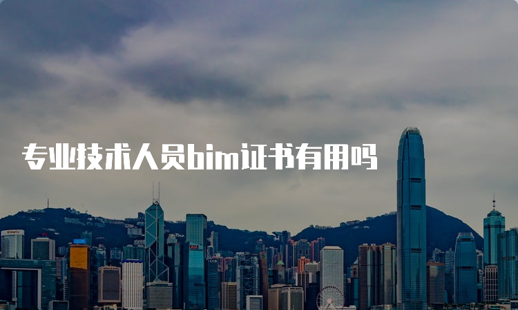 专业技术人员bim证书有用吗