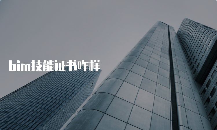 bim技能证书咋样