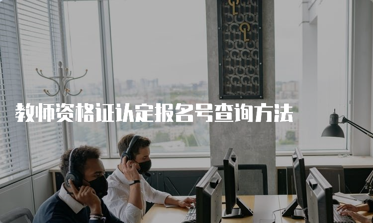 教师资格证认定报名号查询方法