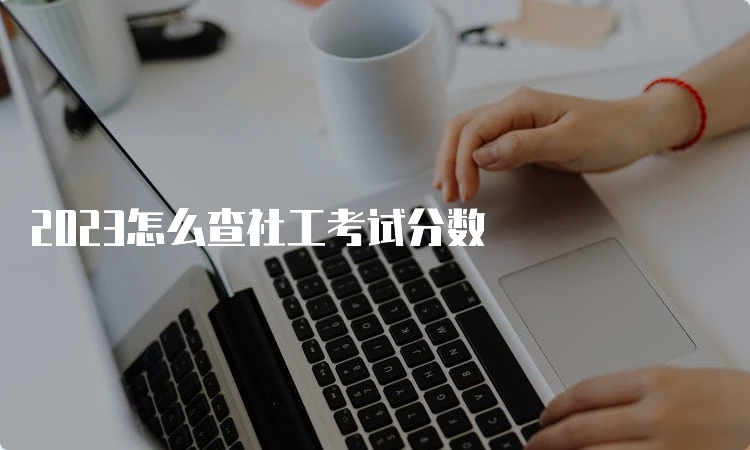 2023怎么查社工考试分数