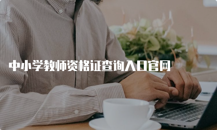 中小学教师资格证查询入口官网