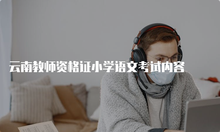 云南教师资格证小学语文考试内容