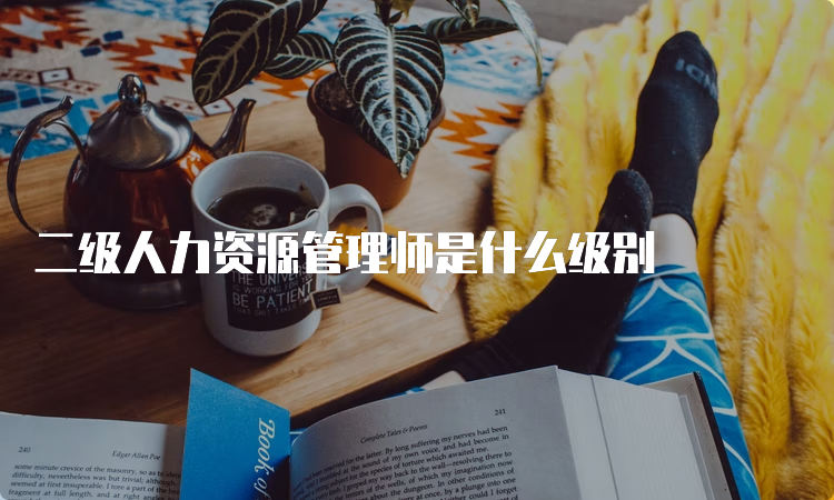 二级人力资源管理师是什么级别