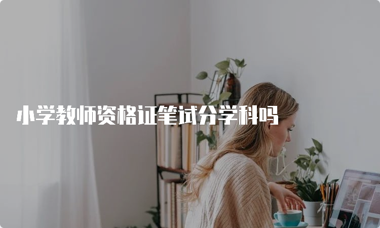 小学教师资格证笔试分学科吗