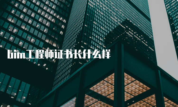 bim工程师证书长什么样