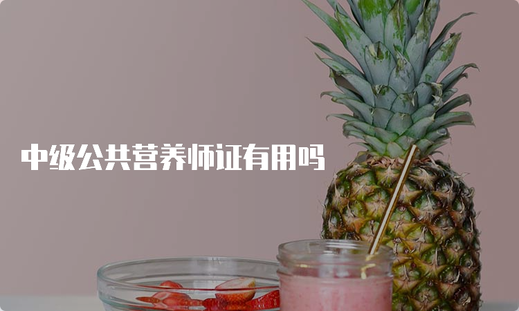 中级公共营养师证有用吗