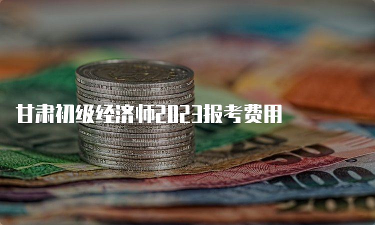 甘肃初级经济师2023报考费用