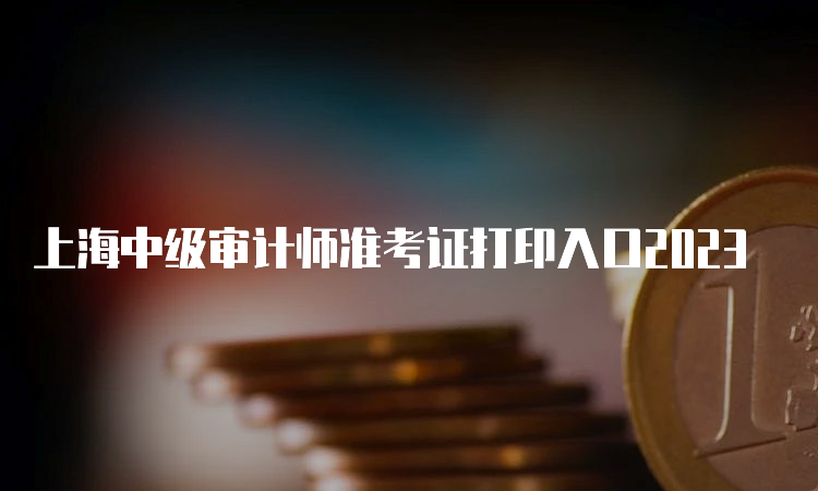 上海中级审计师准考证打印入口2023