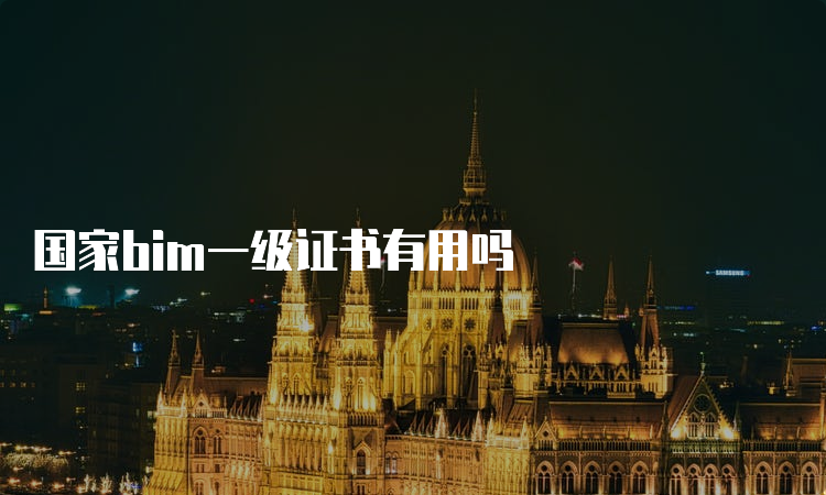 国家bim一级证书有用吗