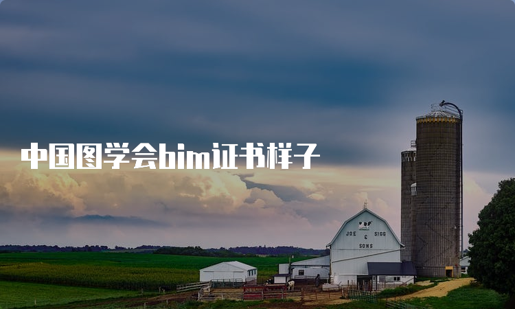 中国图学会bim证书样子