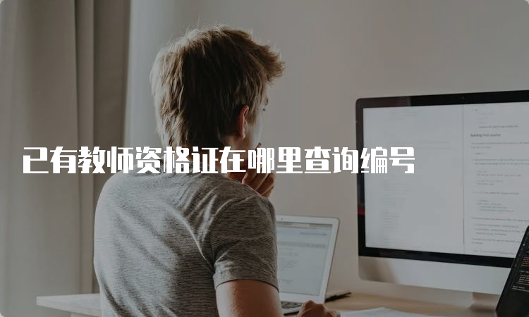 已有教师资格证在哪里查询编号