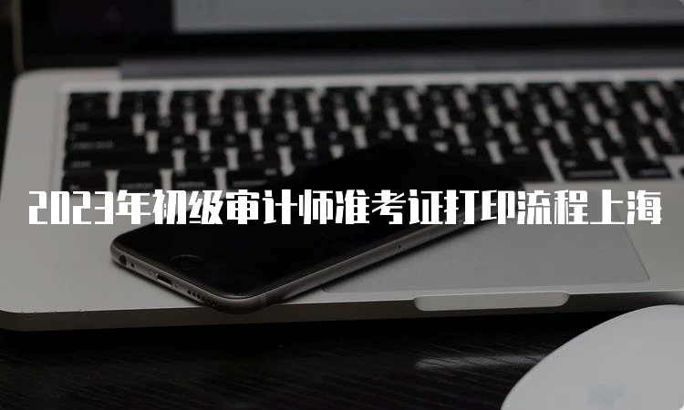 2023年初级审计师准考证打印流程上海