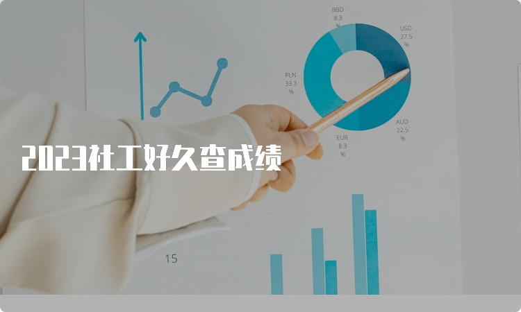 2023社工好久查成绩