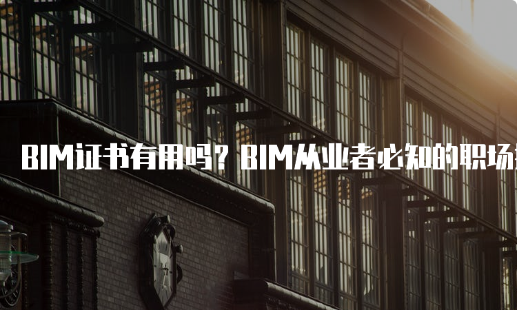 BIM证书有用吗？BIM从业者必知的职场技能