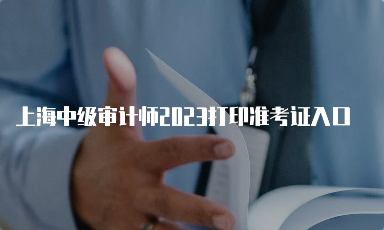 上海中级审计师2023打印准考证入口