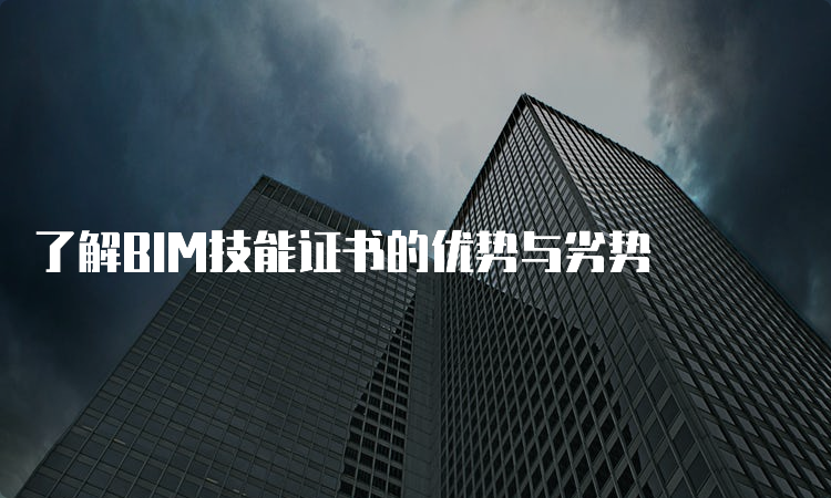 了解BIM技能证书的优势与劣势