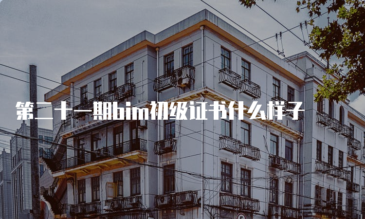 第二十一期bim初级证书什么样子