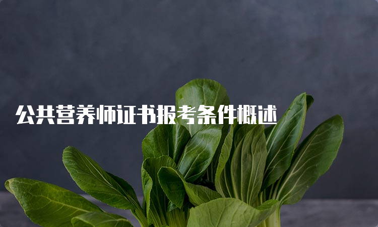 公共营养师证书报考条件概述