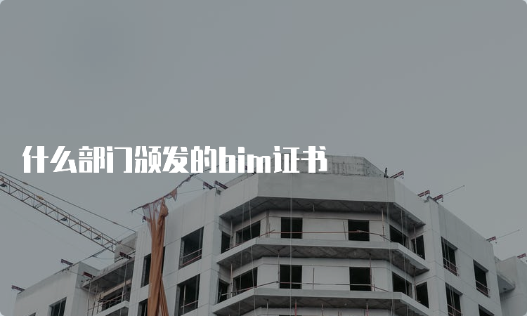 什么部门颁发的bim证书