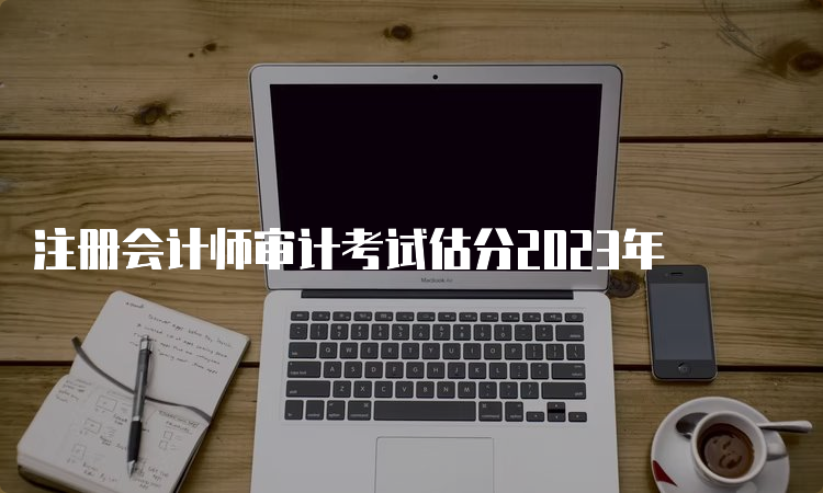 注册会计师审计考试估分2023年