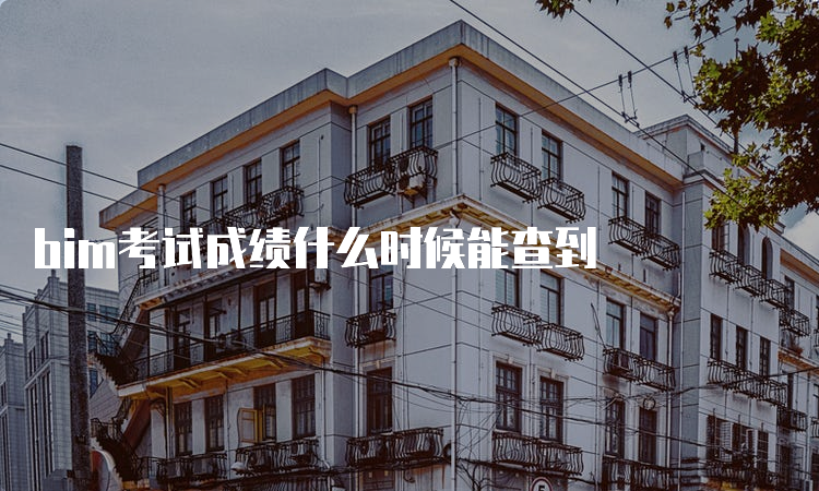 bim考试成绩什么时候能查到